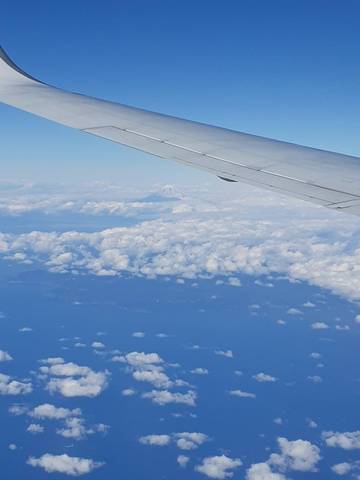 飛行機から富士山