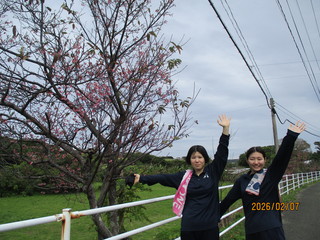 ジョギング大会